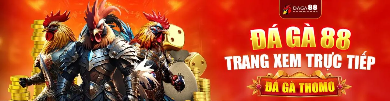 Đá Gà Trực Tuyến xoso1234 Trang Chủ